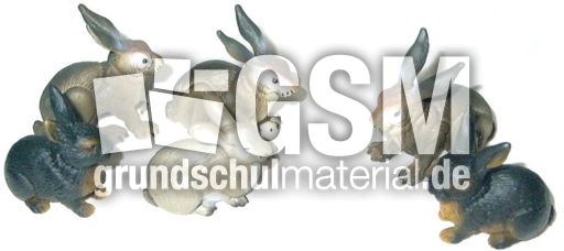 Hasen4+2.jpg
